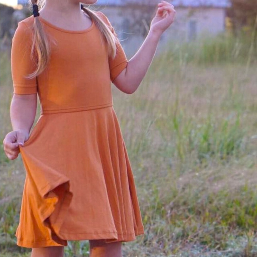 Well Dressed Wolf Omi Jo Dancer Dress 24m